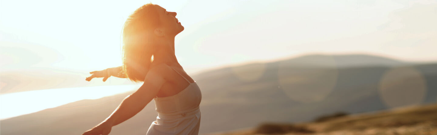 ส่วนบนสุดของเว็บไซต์